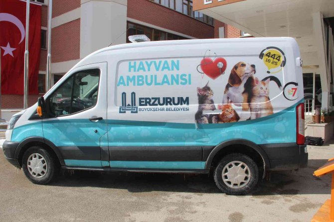 Bu Da Hayvan Ambulansı