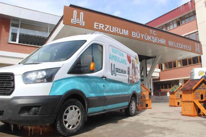 Bu Da Hayvan Ambulansı