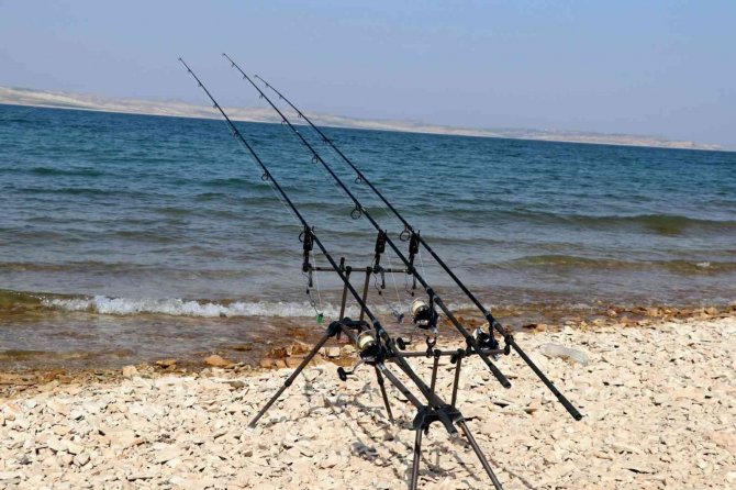 Yasak 15 Haziran’a Kadar Sürecek