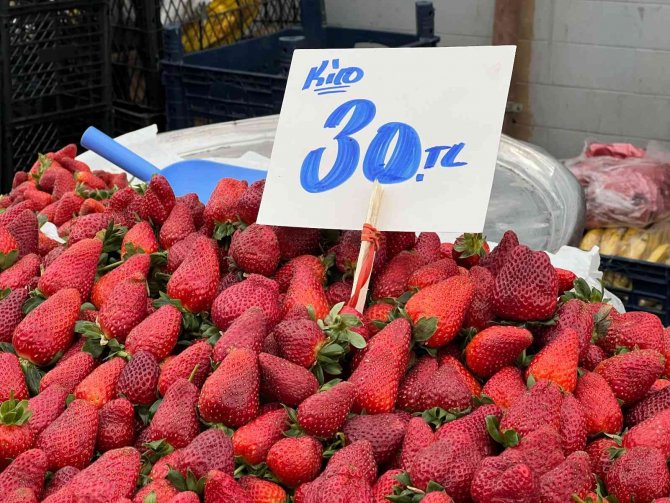 Kar Yağışından Dolayı Sevkiyatı Yapılamayan Meyve Ve Sebzelerin Fiyatları Arttı