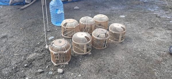 Kağızman’da Kaçak Avcılara Geçit Yok