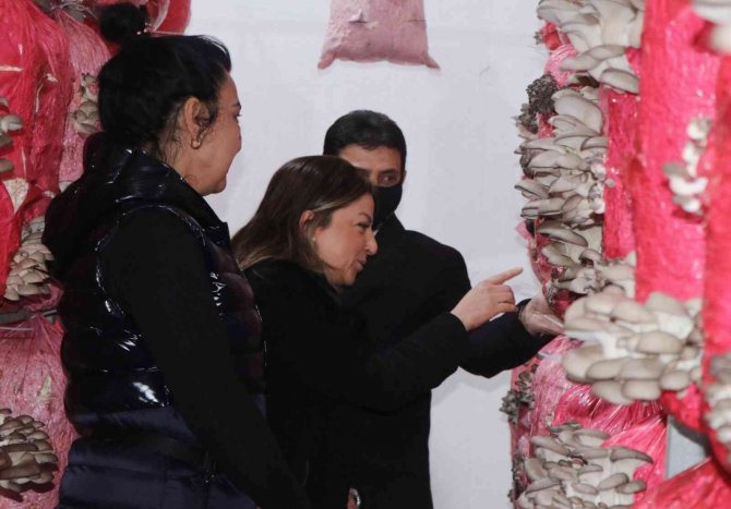 Kadın Girişimci Yılda 150 Ton Mantar Üretiyor