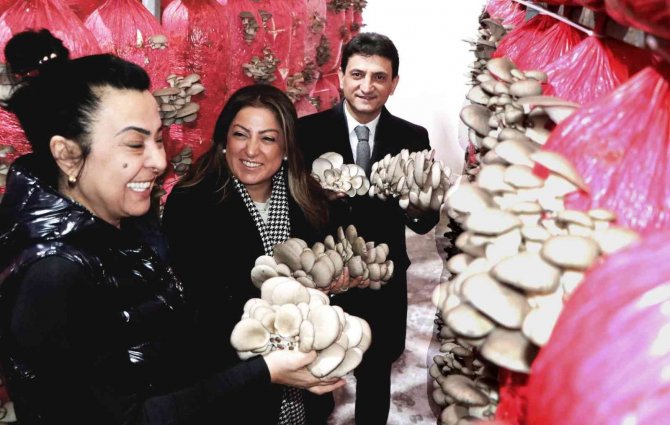 Kadın Girişimci Yılda 150 Ton Mantar Üretiyor