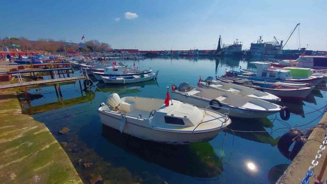 Poyraz Dindi, Balıkçılar Denize Açılmaya Başladı