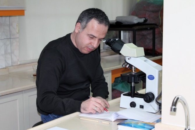 Subü’nün Çalışmalarıyla Fındıkta Tozlanma Meselesi Çözülecek