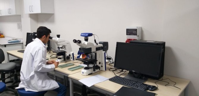 Subü’nün Çalışmalarıyla Fındıkta Tozlanma Meselesi Çözülecek