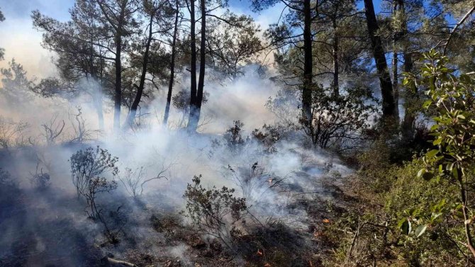 Mersin’de Orman Yangını, Büyümeden Kontrol Altına Alındı
