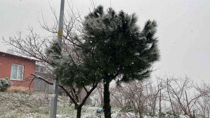 Kar Zonguldak’ta Yeniden Etkili Oldu