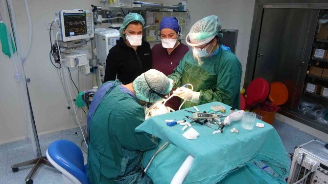 Bölgenin Diş Sağlığı Bu Hastaneye Emanet