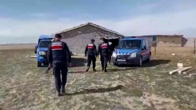 Çaldıkları Koyunların Parasını Ödeyince Serbest Kaldılar