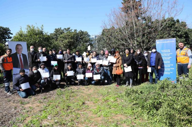 Üreticiye Uygulamalı Ağaç Budama Ve Aşılama Eğitimi
