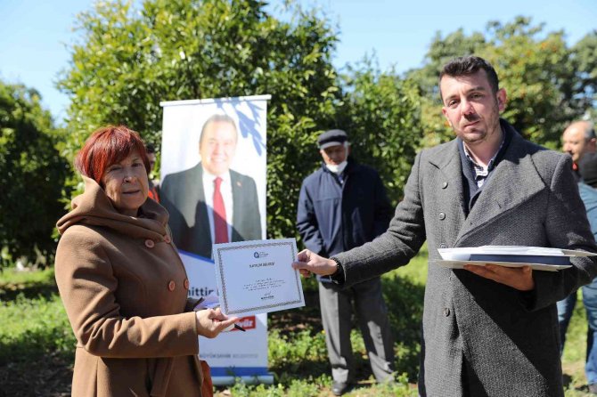 Üreticiye Uygulamalı Ağaç Budama Ve Aşılama Eğitimi