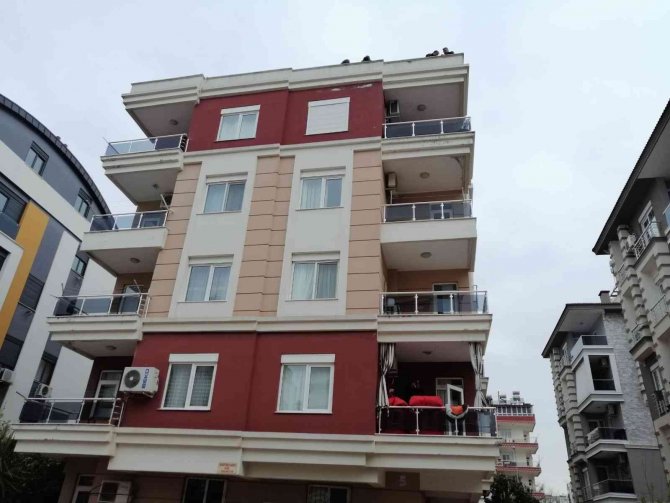 Günısıyı Tamir Ederken Merdivenlerden Beton Zemine Düşerek Hayatını Kaybetti