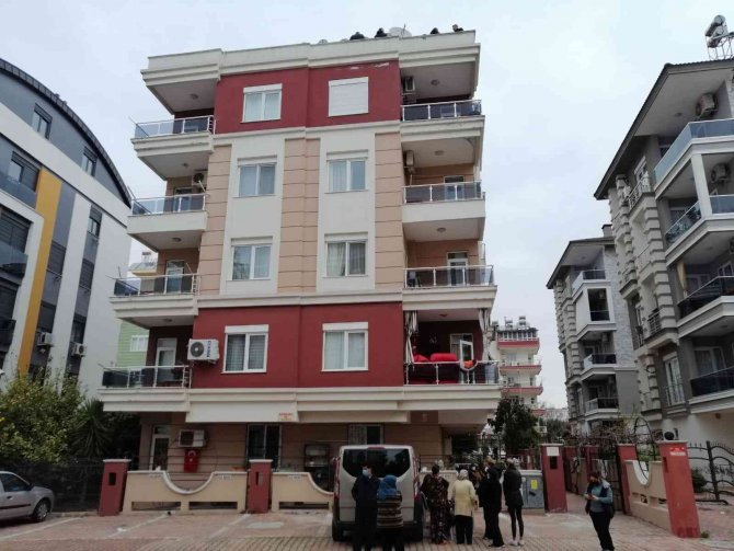 Günısıyı Tamir Ederken Merdivenlerden Beton Zemine Düşerek Hayatını Kaybetti