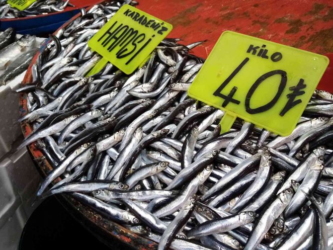 Hamsinin Kulağına Kar Suyu Kaçtı