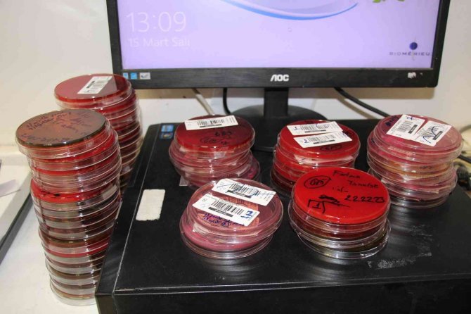 Yanlış Kullanımda Sağlığa Zarar Veren Antibiyotiklerin Dünyada Ekonomiye Maliyeti 100 Trilyon Dolar Olarak Ön Görülüyor