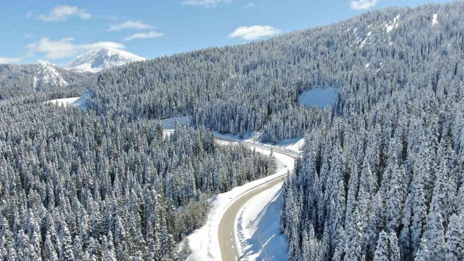 Ilgaz Dağı’nda Mart Ayında Mest Eden Kar Güzelliği