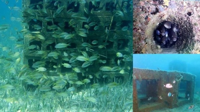 Göcek Koyları Etkin Bir Koruma Modeliyle Yönetilecek