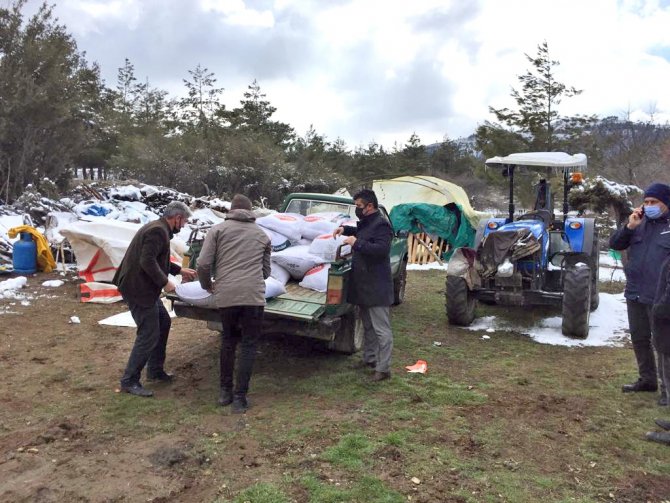 Kar Yağışından Etkilenen Çiftçilere Yem Desteği Sağlandı