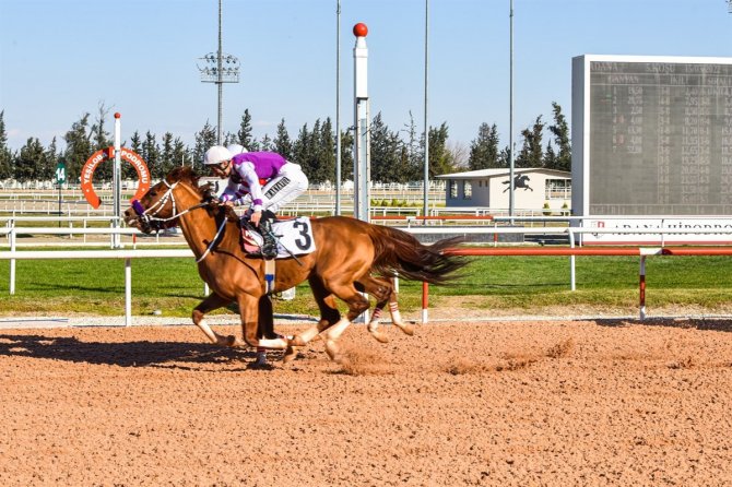 Valilik Kupası Koşusunu "Bay Emir" Kazandı