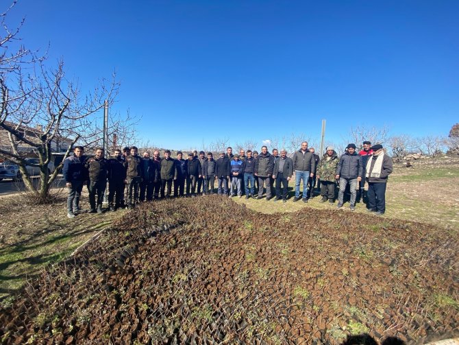 Antep Fıstıkları Ormanla Buluştu