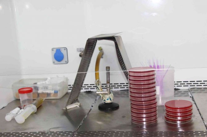 Yanlış Kullanımda Sağlığa Zarar Veren Antibiyotiklerin Dünyada Ekonomiye Maliyeti 100 Trilyon Dolar Olarak Ön Görülüyor