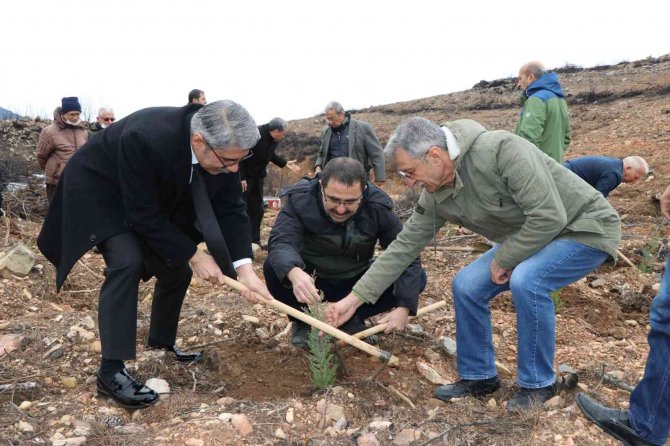 Muğla’da Şehit Yakınları Şehitler Anısına Fidan Dikti