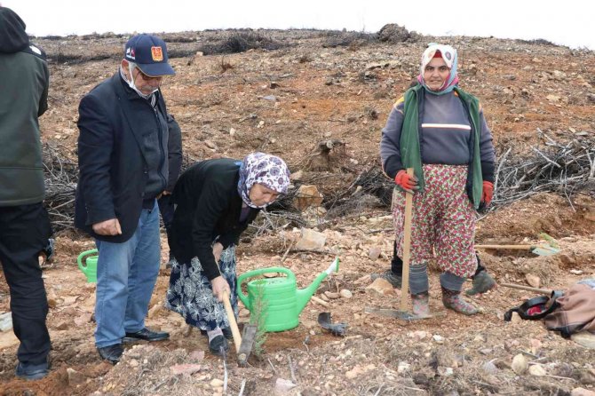 Muğla’da Şehit Yakınları Şehitler Anısına Fidan Dikti