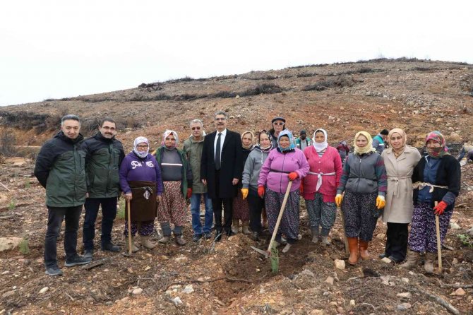 Muğla’da Şehit Yakınları Şehitler Anısına Fidan Dikti