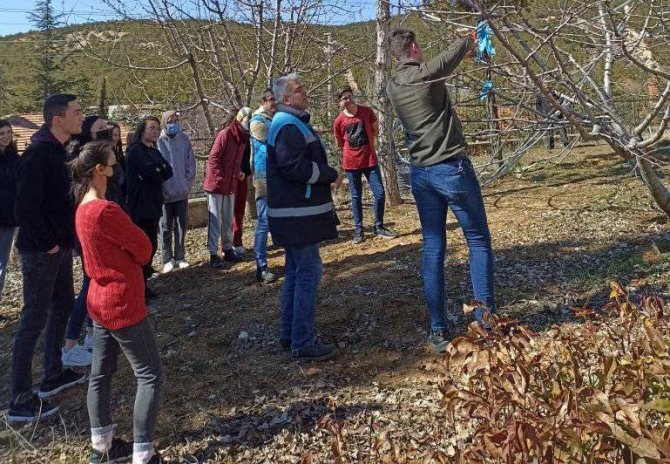 Öğrencilere Meyve Bahçelerinde Bakım, Budama Ve Gübreleme Eğitimi