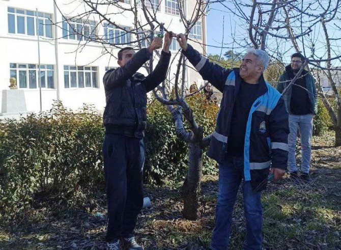 Öğrencilere Meyve Bahçelerinde Bakım, Budama Ve Gübreleme Eğitimi