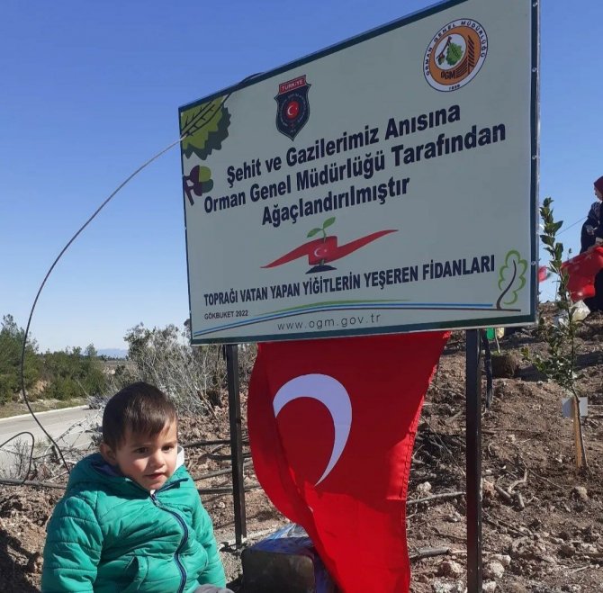 Yanan Ormanlık Alanı Şehit Yakınları Ve Gaziler Yeşillendirdi