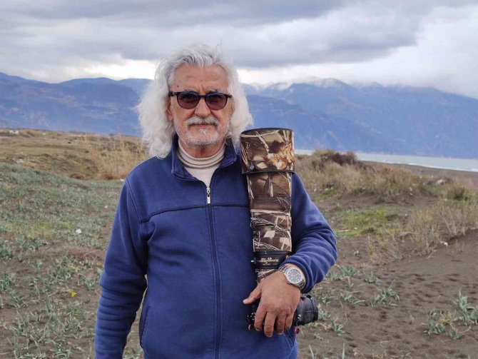 Nesli Tehlike Altında Olan Kum Zambakları Tahrip Edildi