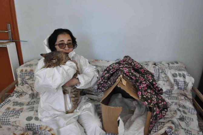 Felçli Köpeğe ’Anne’ Şefkati