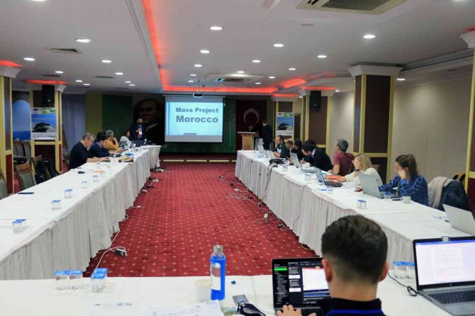 Deniz Kaplumbağalarının Korunması İçin Bir Araya Geldiler
