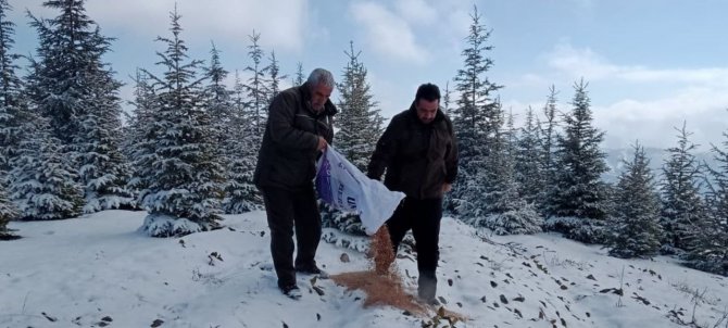 Elazığ’da Yaban Hayvanları İçin Doğaya Yem Bırakıldı