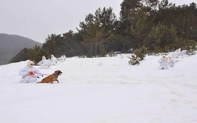 Sarıkamış’ta Komandolardan Eksi 19 Derecede Eğitim