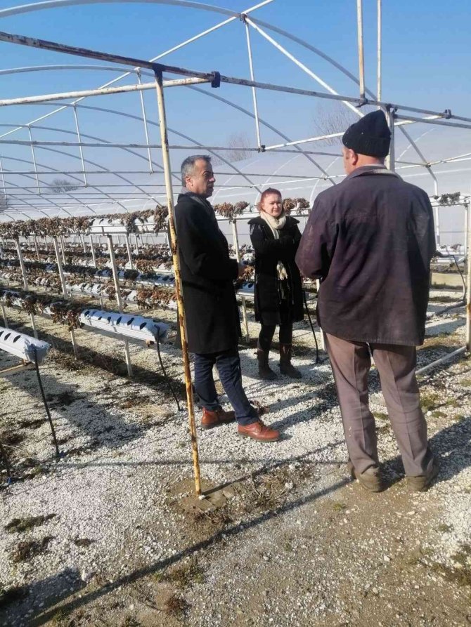 Kırklareli’nde Üreticiler Bilgilendiriliyor
