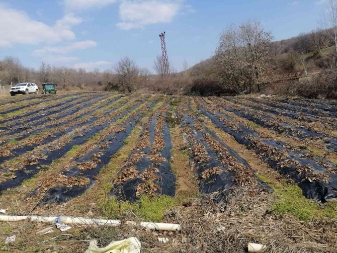 Kırklareli’nde Üreticiler Bilgilendiriliyor