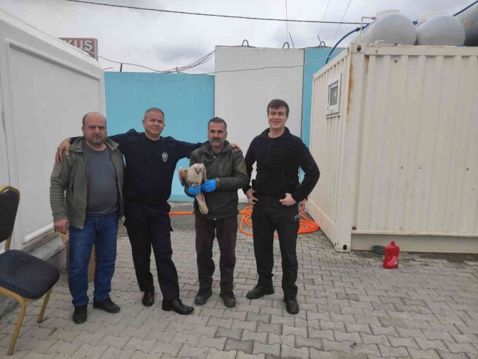 Polisin Bulduğu Yaralı Kartal Tedavi Altına Alındı