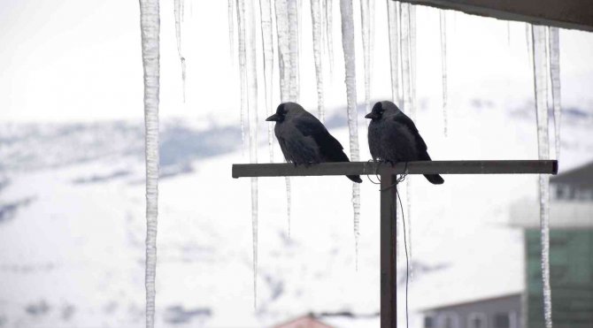 Çatılarda 2 Metrelik Buz Sarkıtları Oluştu