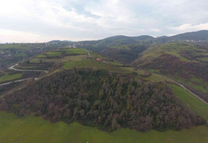 ’Masal Ormanı Projesi’ Hayata Geçiyor