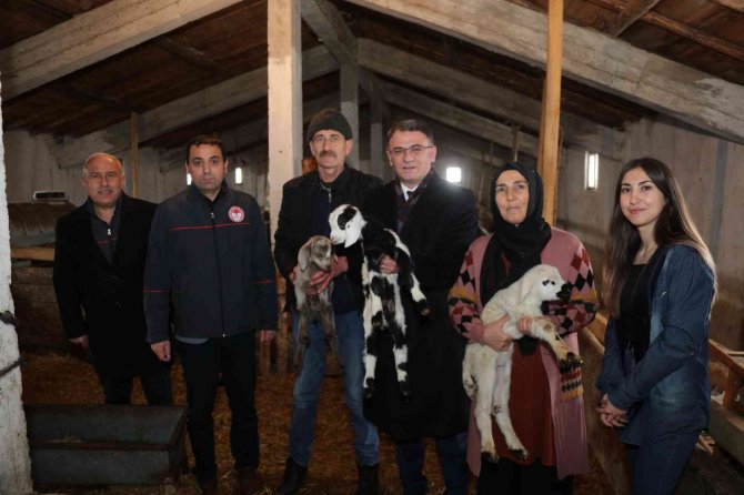 Tokat’ta 2 Yılda 912 Çiftçi Sürü Sahibi Oldu