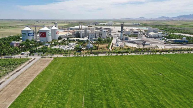 Konya Şeker, Pancar Taban Fiyatında Artışa Gitti