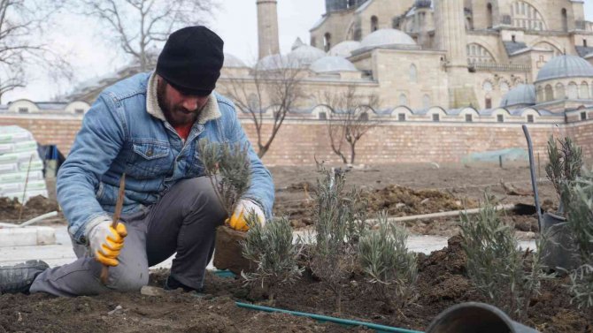 Selimiye Meydanı Hak Ettiği Görünüme Kavuşuyor