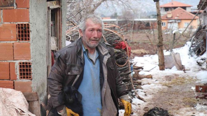 Aşı Yapılan 150 Keçilerinden 70’i Telef Olan Çoban Aile Gözyaşlarına Boğuldu