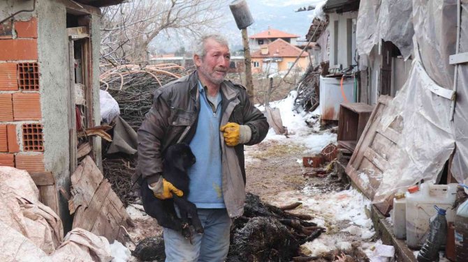 Aşı Yapılan 150 Keçilerinden 70’i Telef Olan Çoban Aile Gözyaşlarına Boğuldu
