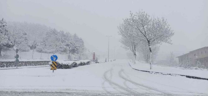 Araçlar Yollarda Kaydı, Düzce Beyaz Örtü İle Kaplandı