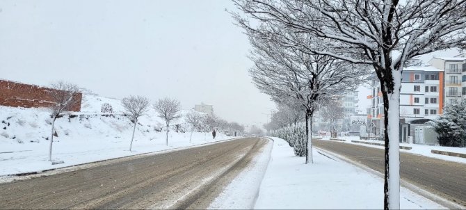Elazığ’da Kar Yeniden Başladı