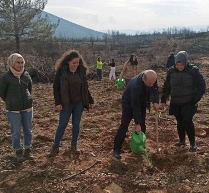 Doktor Adayları Fidan Dikti